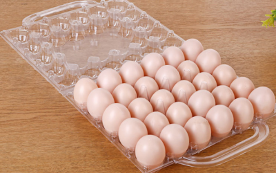 Recycled Plastic Egg Trays For Sustainable Egg Packaging