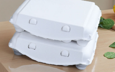 How Material Choice Affects Egg Tray Customization Options