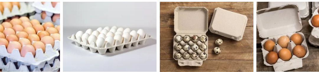 What Makes A Reliable Egg Tray Manufacturer In China?