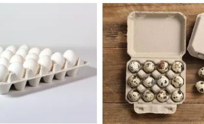 What Makes A Reliable Egg Tray Manufacturer In China?
