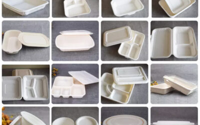 Top 5 Sustainable PLA Veggie Tray Manufacturers in Global Markets