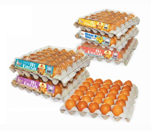 Leading 7 Recycled Paper Egg Tray Factories In Malaysia