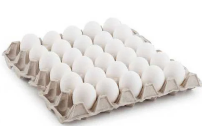 Trusted 7 OEM PET Egg Tray Manufacturer In Philippines