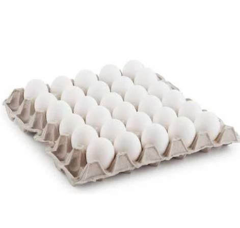 Trusted 7 OEM PET Egg Tray Manufacturer In Philippines