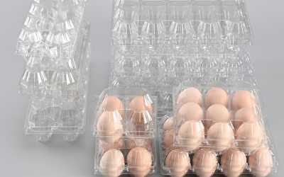 Recycled Plastic Egg Trays: Compliance & Certification Requirements