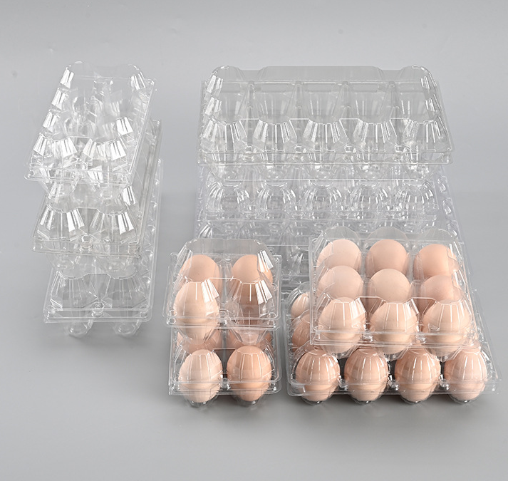 Recycled Plastic Egg Trays: Compliance & Certification Requirements