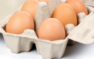 Premium 5 Wholesale Sugarcane Bagasse Egg Tray Manufacturers In Vietnam
