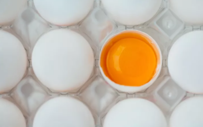 How To Freeze Eggs With Property Way:Whole, Whites, and Yolks