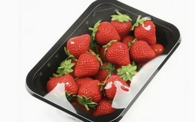 Leading 7 PET Fruit Tray Suppliers In China For Custom Wholesale