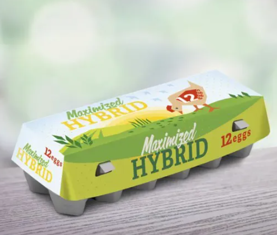 Top 10 Reliable Paper Egg Tray Manufacturers In Europe