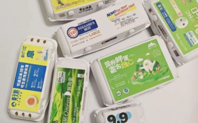 Are Egg Trays Recyclable?A Practical Guide To Proper Disposal