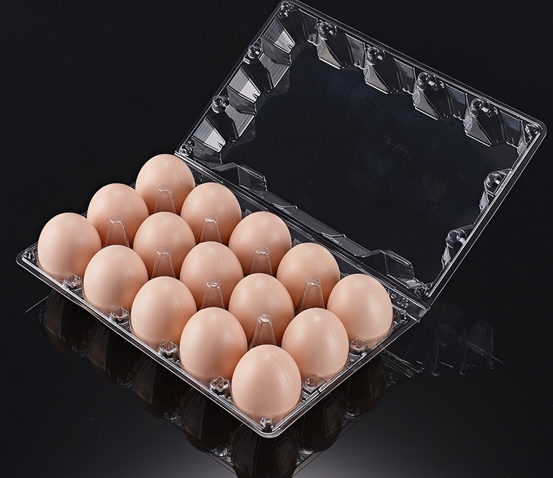 Egg Tray Manufacturer Certifications: Iso, Brc & Quality Standards