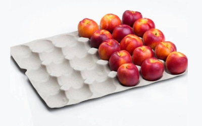Premium 5 Wholesale Paper Pulp Fruit Tray Suppliers In China: Sustainable Bulk Solutions