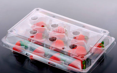 Best 5 Sustainable rPET Fruit Tray Factories In USA: Your Partner For Circular Packaging
