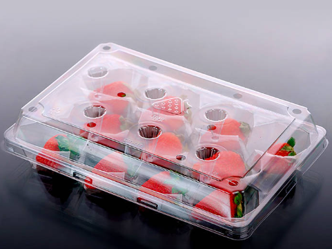 Best 5 Sustainable rPET Fruit Tray Factories In USA: Your Partner For Circular Packaging