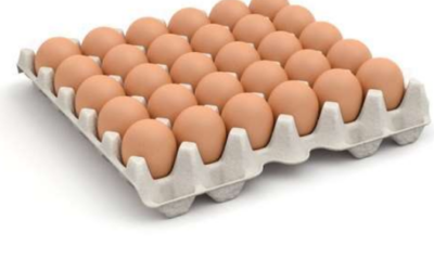 30 Cells Egg Tray Price Per Unit – Paper Vs Plastic