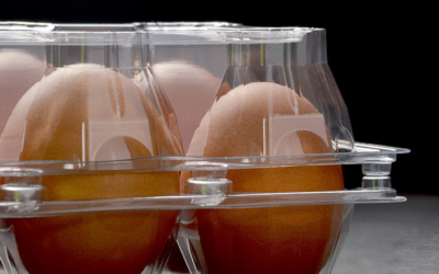 Eco-Friendly Egg Tray Packaging: Required Environmental Certifications
