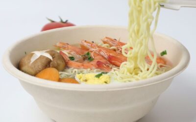 Top 5 Sugarcane Bagasse Ramen Bowl Suppliers in China For Sustainable Food Packaging
