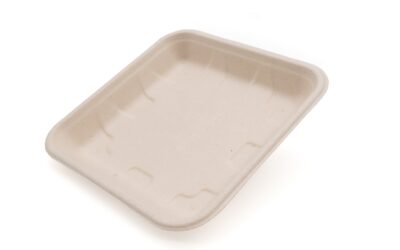 Best 5 Sugarcane Bagasse Veggie Tray Suppliers In UK: Compostable Solutions For Bulk Buyers