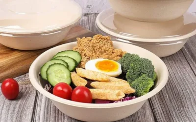 Premium 5 Compostable Bagasse Salad Bowl Factories For PFAS-Free Organic Food Packaging In USA