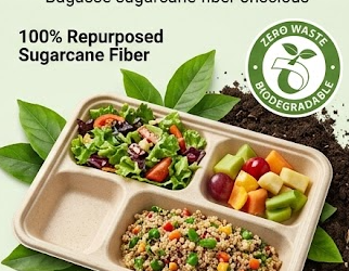 7 Materials Used in Compartment Food Trays and How to Choose One